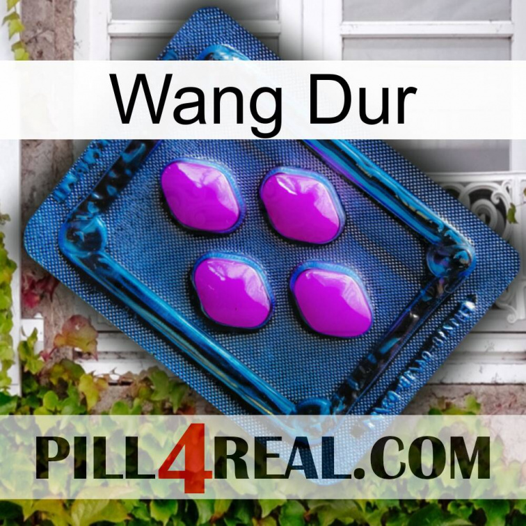 Hard Wang 04